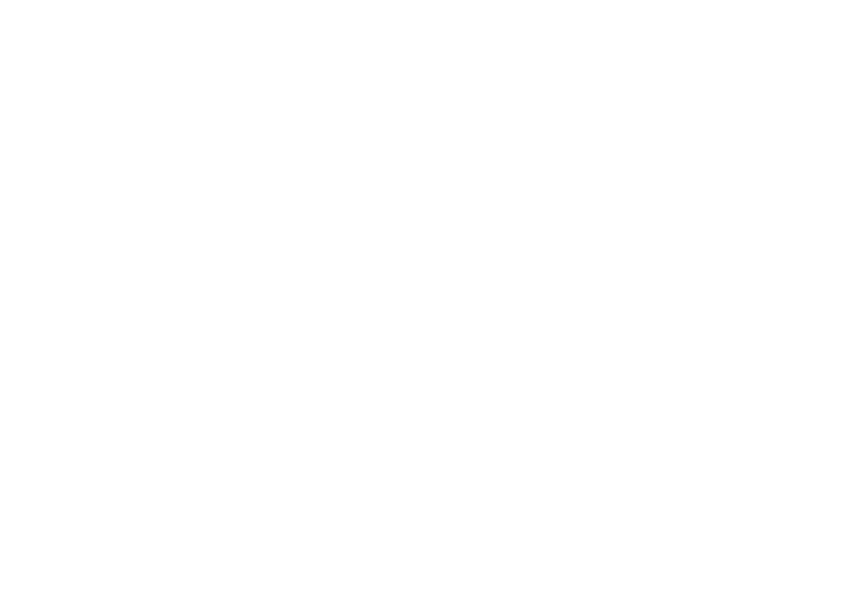 Fisic a punt